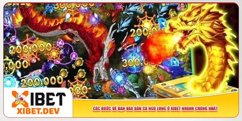 Các bước để bạn vào bắn cá Ngũ Long ở Xibet nhanh chóng nhất