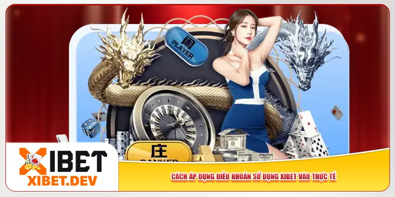 Cách áp dụng điều khoản sử dụng Xibet vào thực tế