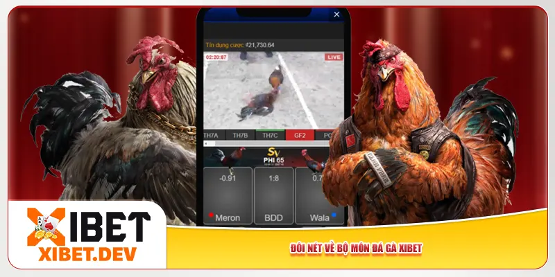 Đôi nét về bộ môn đá gà Xibet