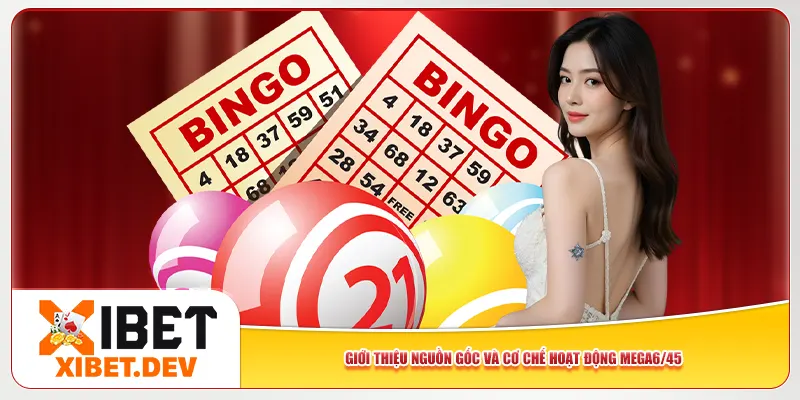 Giới thiệu nguồn gốc và cơ chế hoạt động Mega6/45