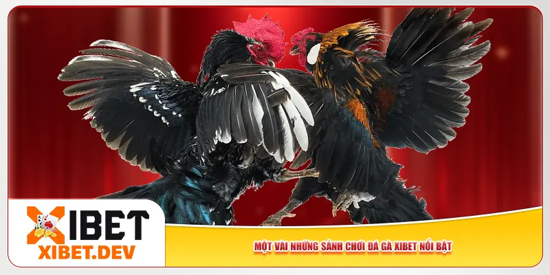 Một vài những sảnh chơi đá gà Xibet nổi bật