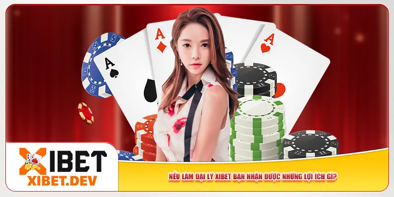 Nếu làm đại lý Xibet bạn nhận được những lợi ích gì?