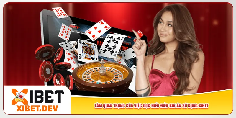 Tầm quan trọng của việc đọc hiểu điều khoản sử dụng Xibet